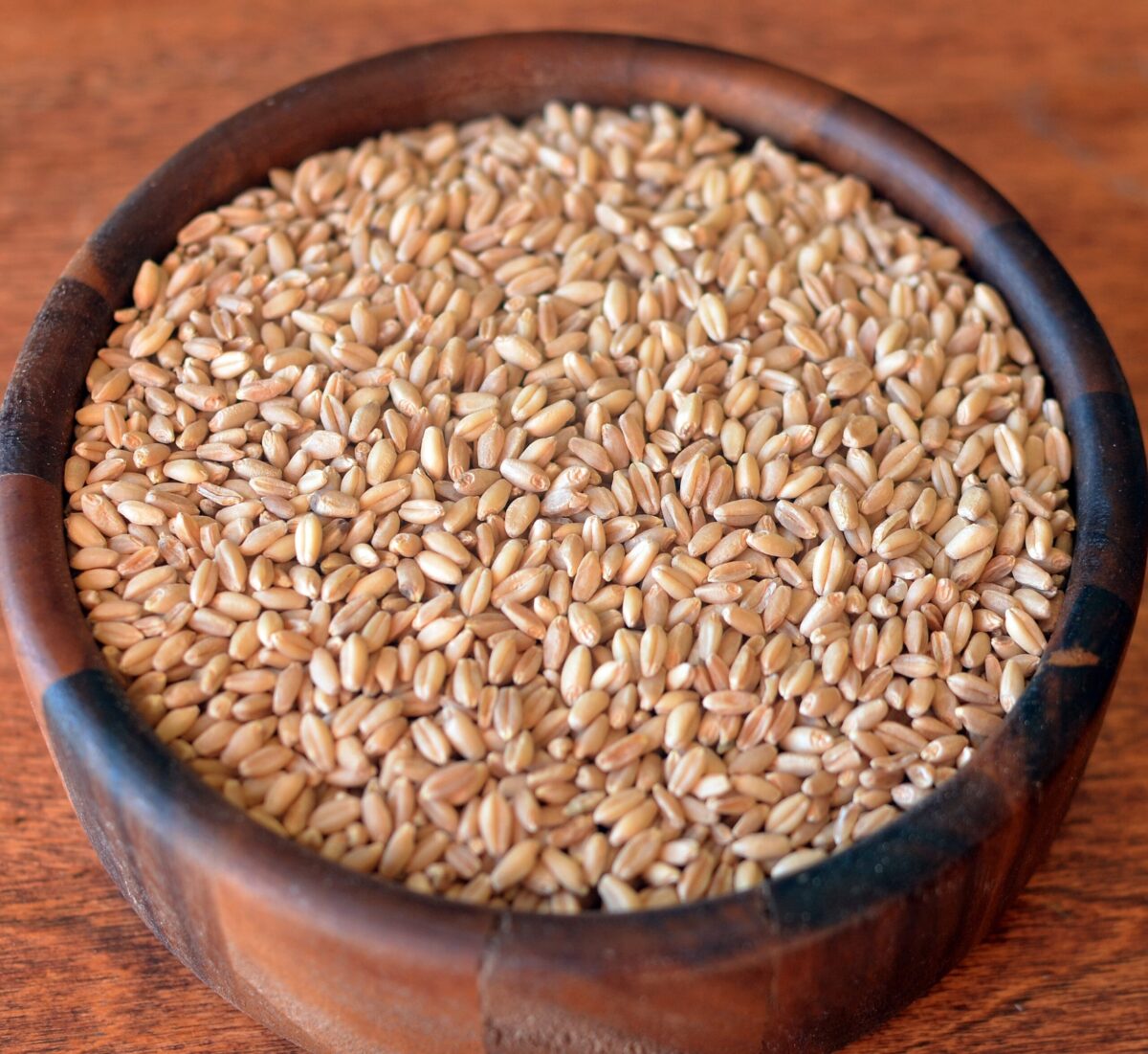 Soaked Wheat