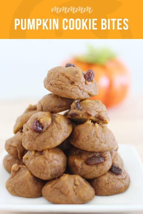 healthy pumpkin cookies 