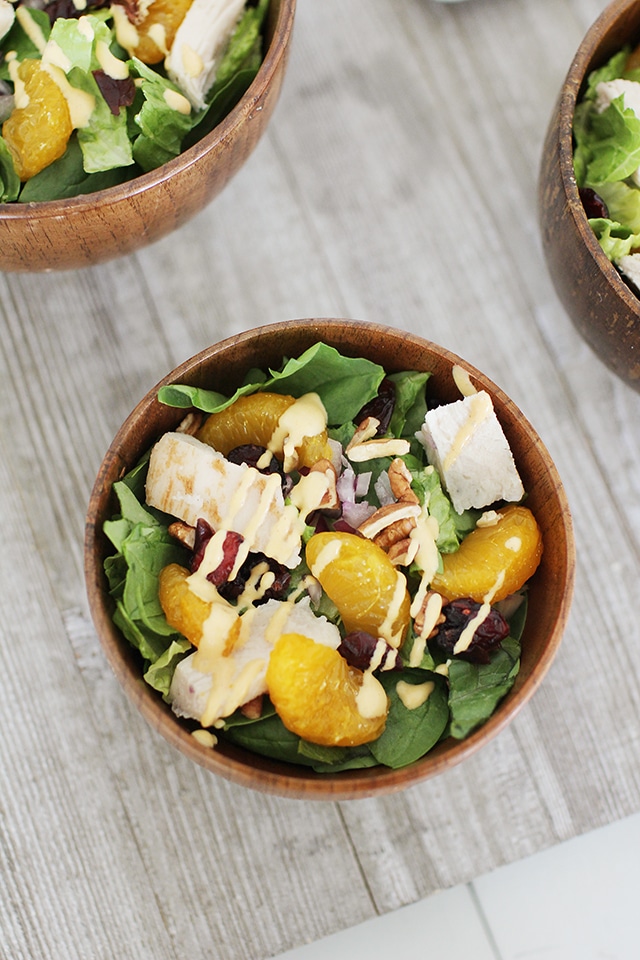 Healthy Thanksgiving Salad is a refreshing side to your Thanksgiving menu with cranberries, pecans and an amazing homemade dressing! Serve with leftover turkey for a yummy lunch the next day! Healthy Thanksgiving Salad