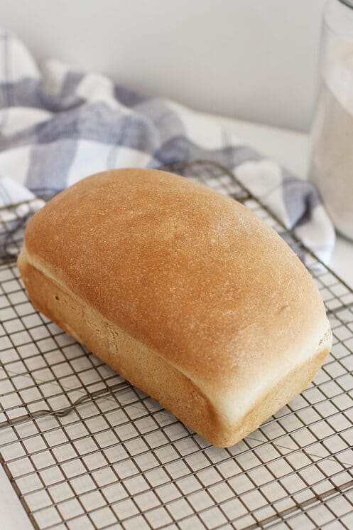 White whole wheat bread loaf