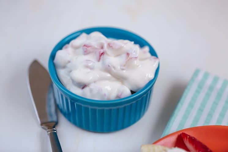 Yogurt Cheese Butterflies Recipe. Have you tried homemade yogurt cheese! It's almost like a science project for my kids!