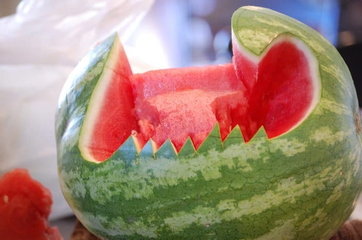 Super simple and easy steps to make this watermelon whale.