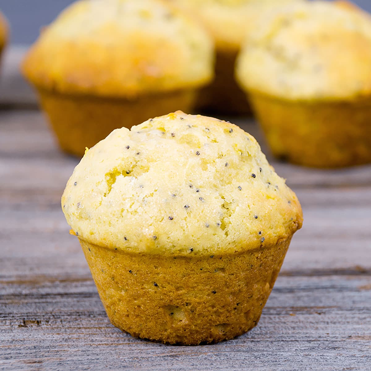 homemade lemon poppyseed muffin