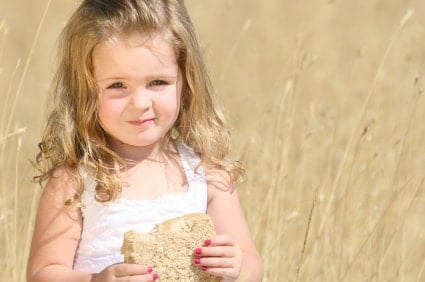 Healthy Meal Plans (Toddler Edition)