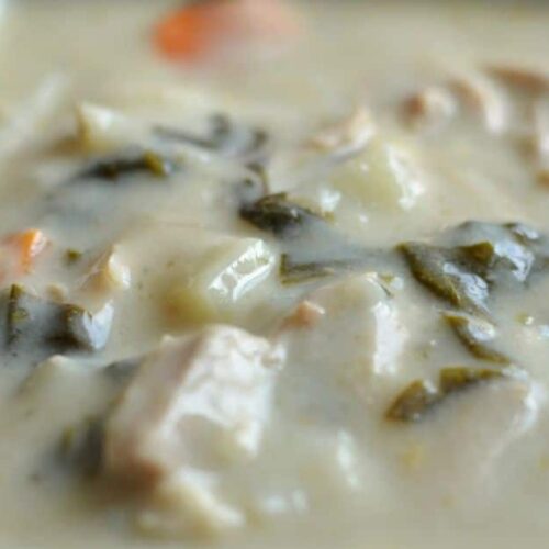 Crockpot Creamy Chicken Spinach Soup Recipe - SHK