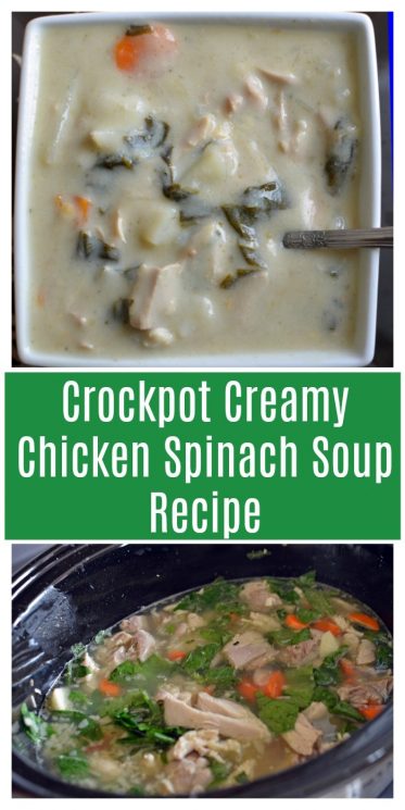 Crockpot Creamy Chicken Spinach Soup Recipe
