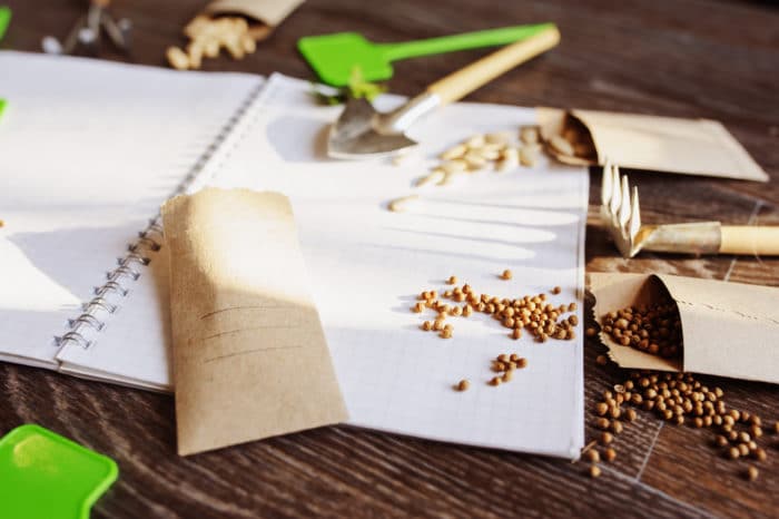 Garden Vegetable Seed and Plant Buying Guide