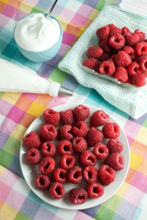 https://www.superhealthykids.com/wp-content/uploads/2012/07/frozen-yogurt-raspberries-1-497x745.jpg