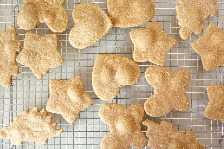 Homemade Peanut Butter Crackers. Crunchy snacking, anywhere!