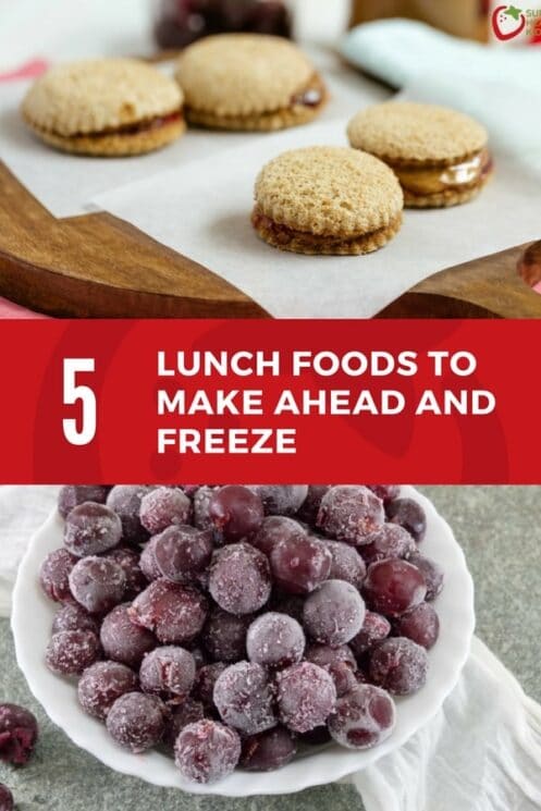 BACK TO SCHOOL MAKE-AHEAD FREEZER LUNCHES & AFTER SCHOOL SNACKS 