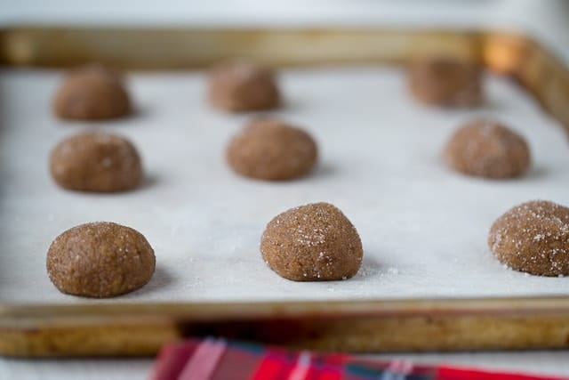 Making Ginger Snap Cookies at home