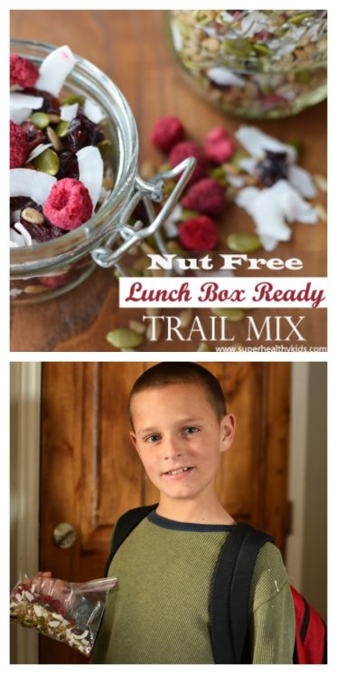 nut free lunch box ready trail mix