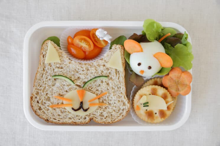 40+ Kids Lunch Box Ideas - FeelGoodFoodie