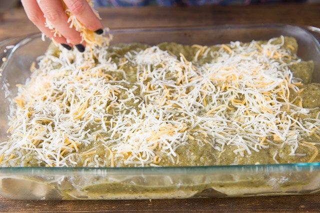 Green Chili Chicken Enchiladas with Mexican cheese