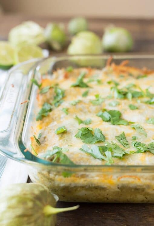 Green Chili Chicken Enchiladas your kids will love