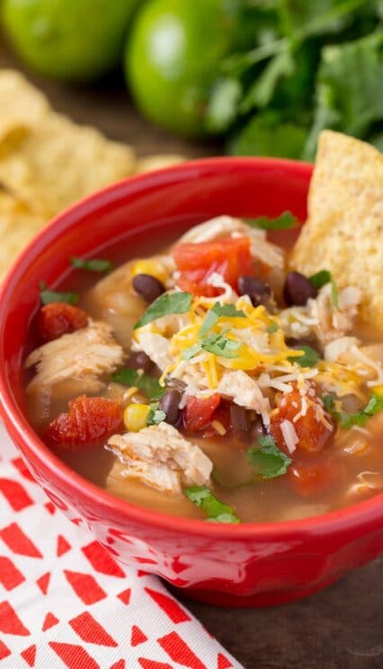 how to make healthy chicken soup at home