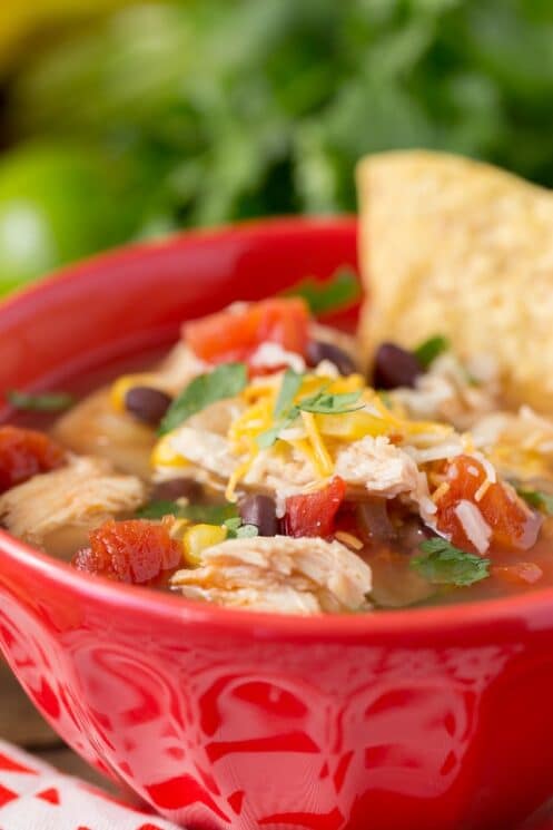 Slow Cooker Chicken Tortilla Soup