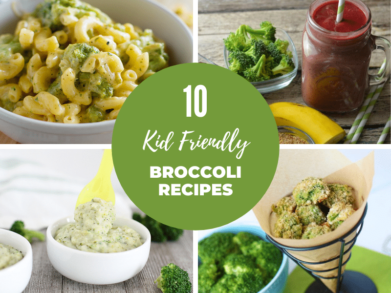 If your children never consider they like broccoli, attempt one particular of these definitely yummy Kid-Friendly Broccoli Recipes! If your children never consider they like broccoli, attempt one particular of these definitely yummy Kid-Friendly Broccoli Recipes!