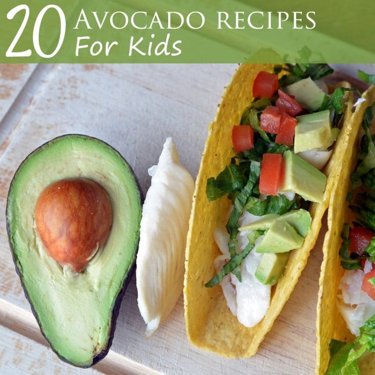 20 Avocado Recipes for Kids. Fiber, folate, potassium, iron... so many reasons to eat avocados! We have 20 ways to do it here: