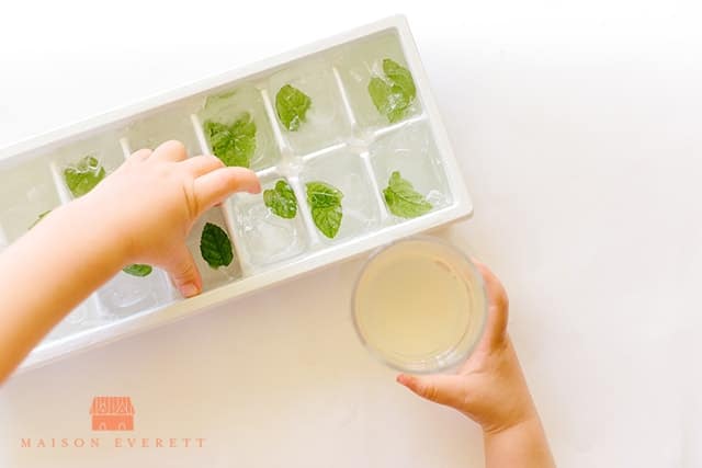 Lemonade with Raw Honey and Mint Ice Cubes. Stay hydrated with this delicious lemon drink!