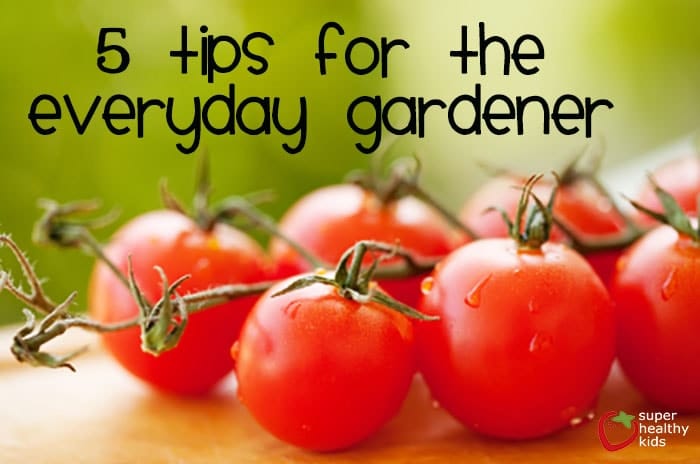 5 Tips for the Everyday Gardener