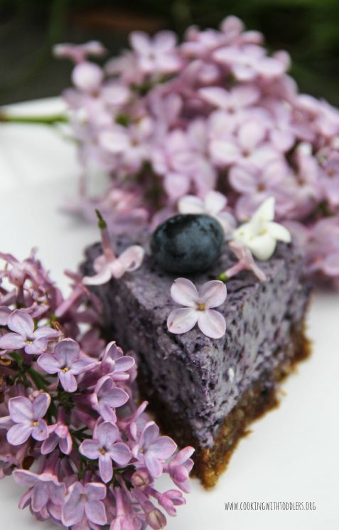 Blueberry Chia Seed Cashew Cake Recipe. A beautiful and delicious treat for any occasion.