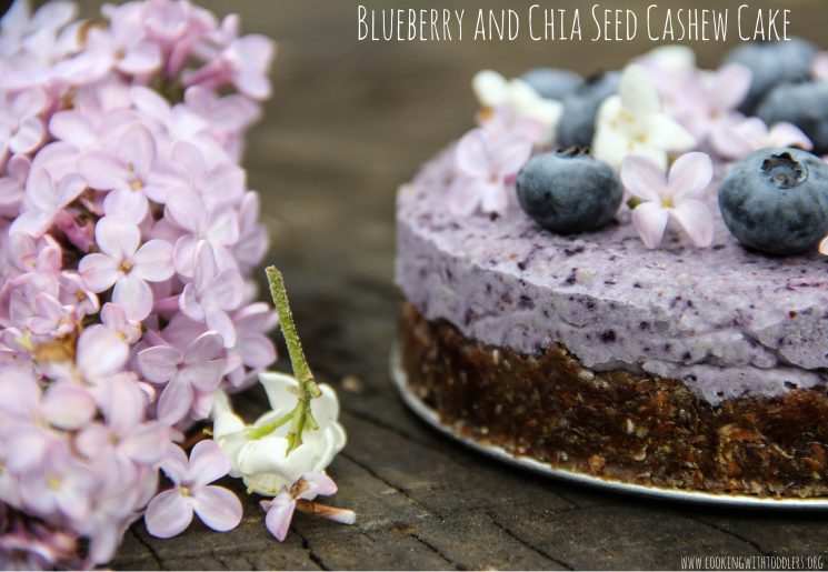 Blueberry Chia Seed Cashew Cake Recipe. A beautiful and delicious treat for any occasion.