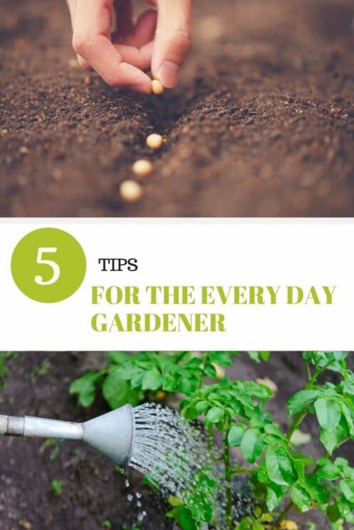 5 Tips for the Every Day Gardener