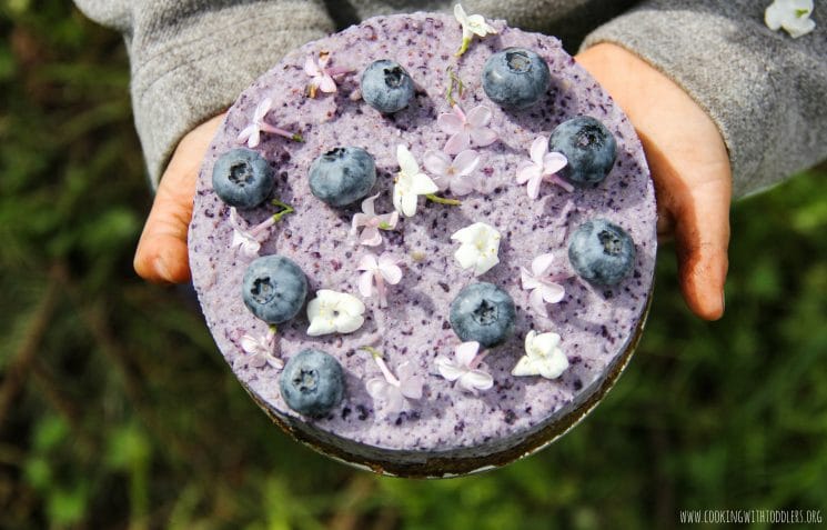 Blueberry Chia Seed Cashew Cake Recipe. A beautiful and delicious treat for any occasion.