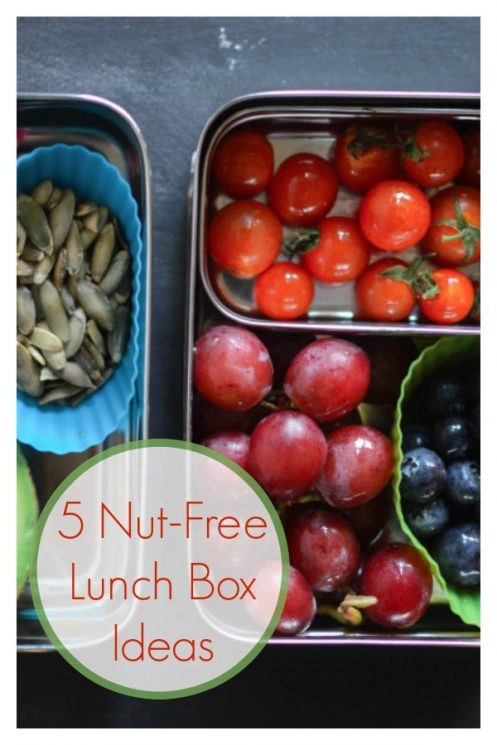 5 Nut-Free Lunch Box Ideas