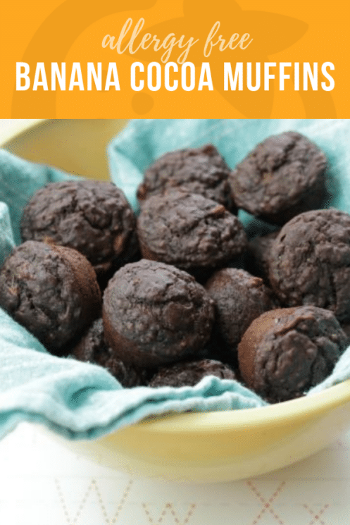 Allergy Free Banana Cocoa Muffins | Healthy Ideas & Recipes for Kids