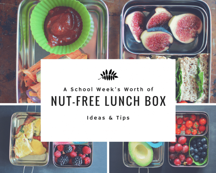 A Week's Worth of Nut-Free Lunch Box Ideas!