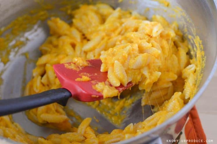 Baked Butternut Squash Macaroni and Cheese! Creamy and delicious macaroni and cheese without butter, milk and tons of cheese!