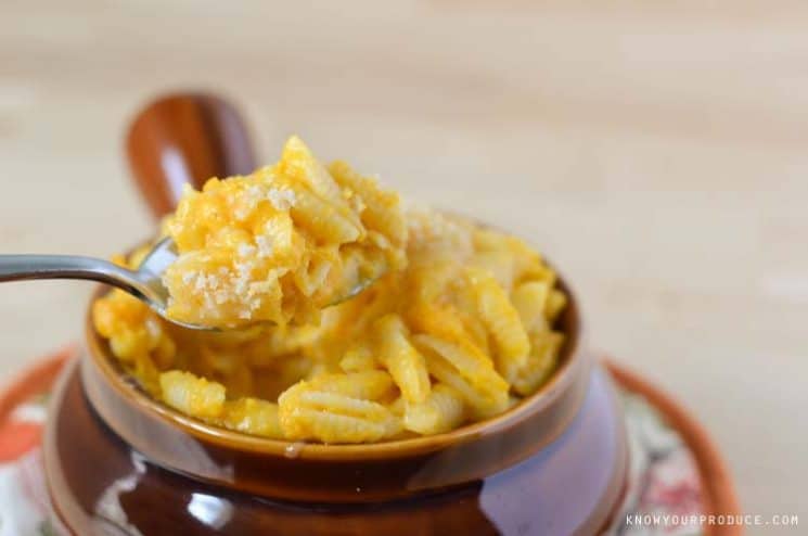 Baked Butternut Squash Macaroni and Cheese! Creamy and delicious macaroni and cheese without butter, milk and tons of cheese! 