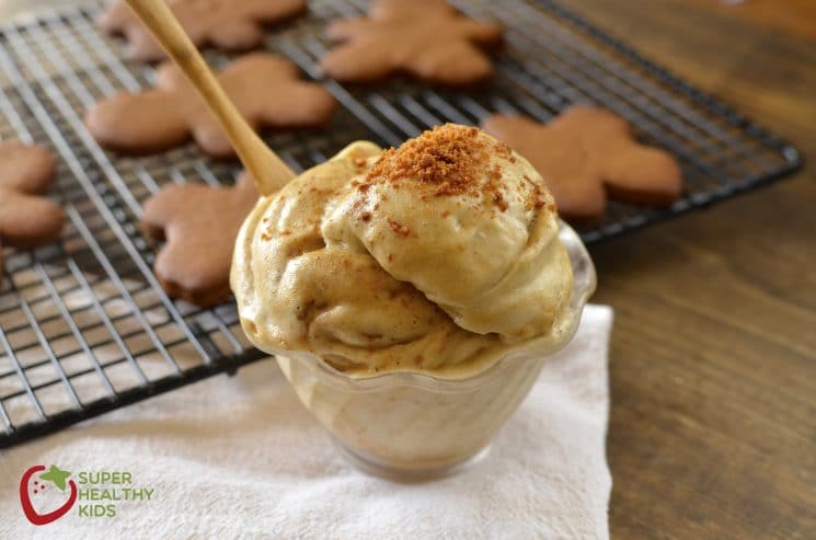 Dairy Free Gingerbread Ice Cream. Quick and easy recipe for dairy free Ginger bread Ice cream!