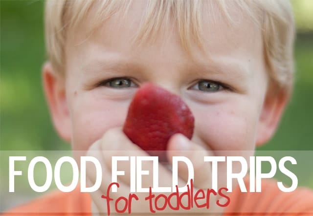 Fun Ideas for Food Field Trips for Toddlers & Preschoolers! www.superhealthykids.com