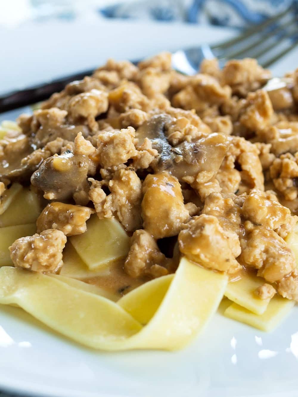 Healthy Turkey Stroganoff Recipe Super Healthy Kids