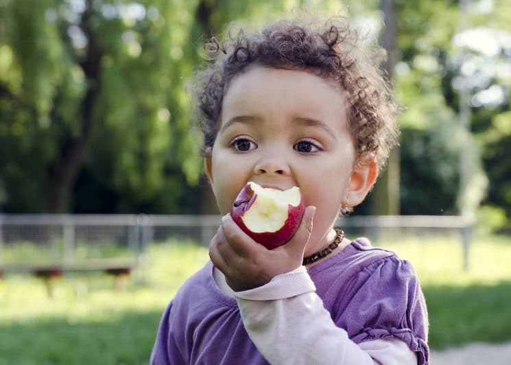 Child child eating an apple in a park in nature.