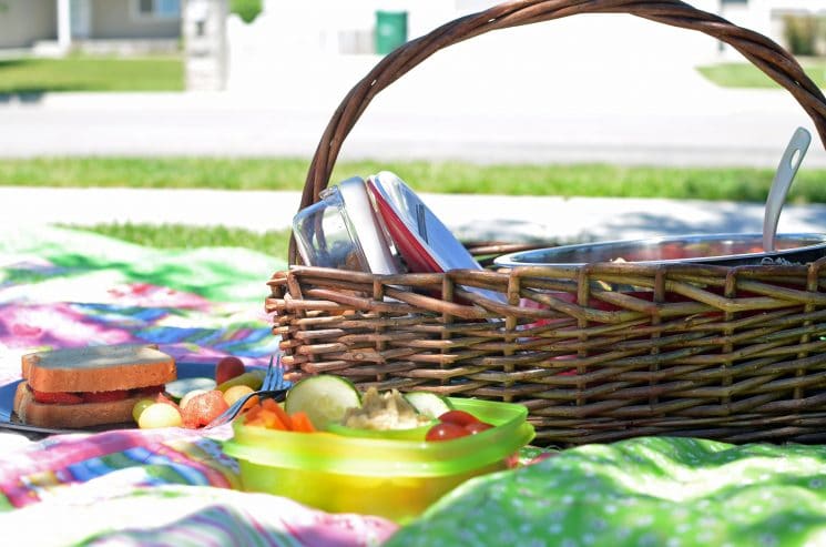 healthy food at a picnic, 21 Days of Things to Do with A Picky Eater