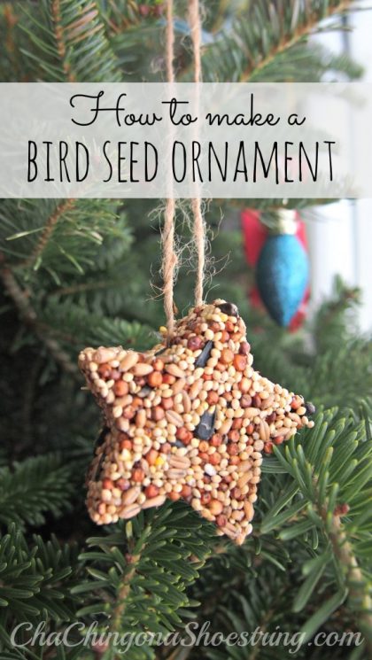 star shaped Birdseed ornament
