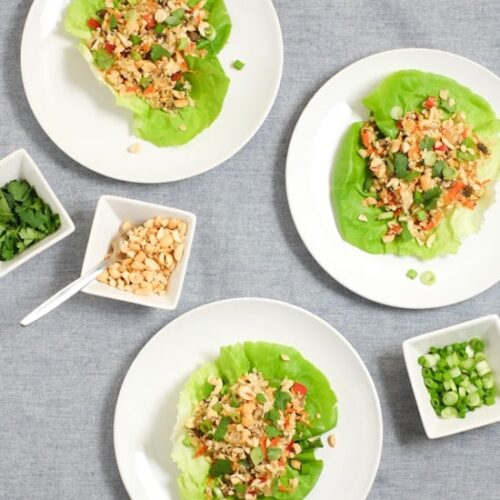 Cauliflower Rice Lettuce Wraps Recipe - SHK