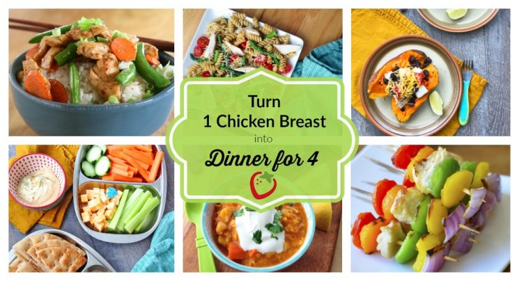 Chicken Breast Challenge: Ten Ways to Feed a Family with 1 Chicken Breast