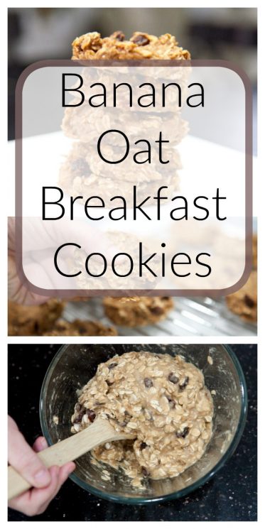 Banana Oat Breakfast Cookies