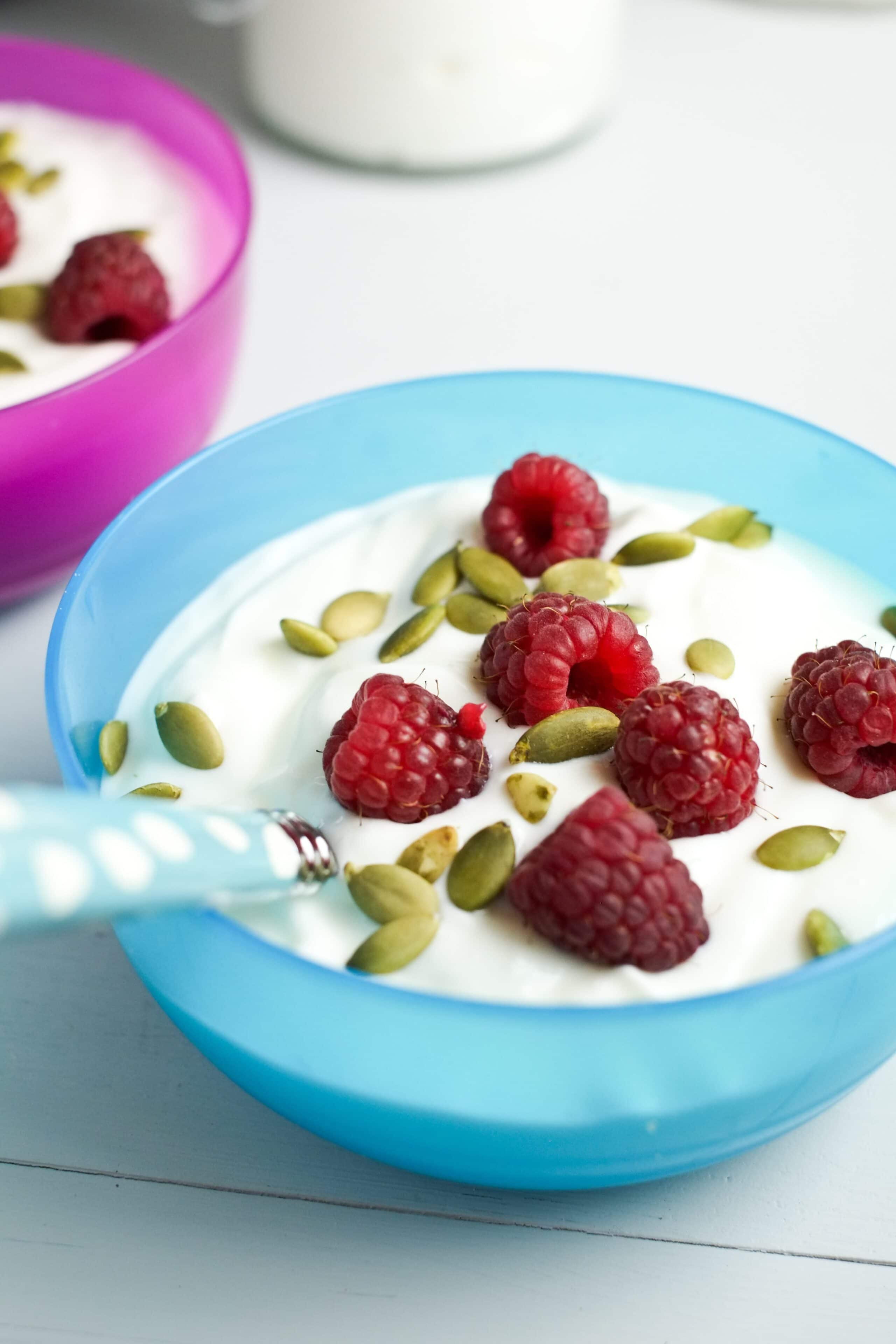 Instant Pot Yogurt: EVERYTHING you need to know