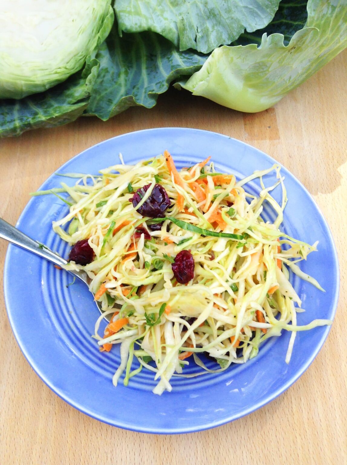 MayoFree Coleslaw with Cranberries and Herbs Super Healthy Kids