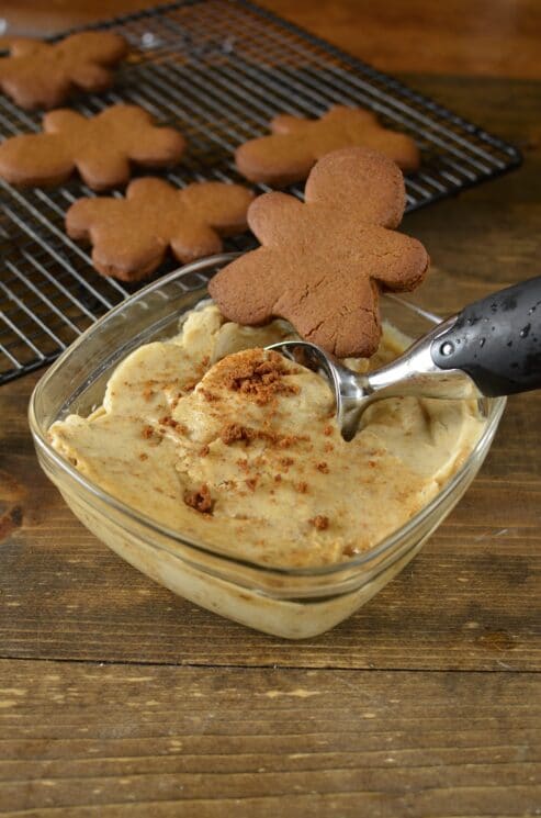 Healthy Gingerbread Icecream