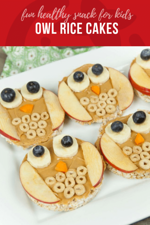 Owl Rice Cakes | Fun Food for Kids