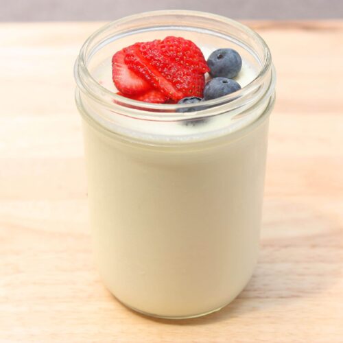 Homemade Greek Yogurt Recipe Super Healthy Kids