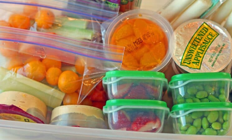 Hummus, fruit cups, strawberries, edamame packed in containers to take to a theme park