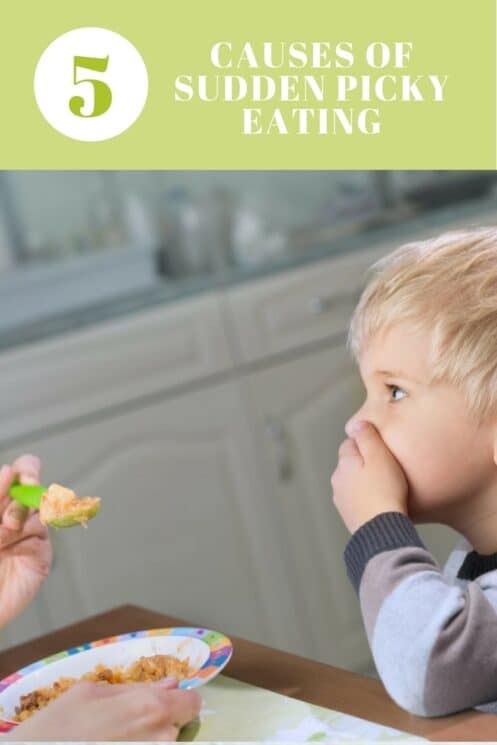 5 Causes of Sudden Picky Eating